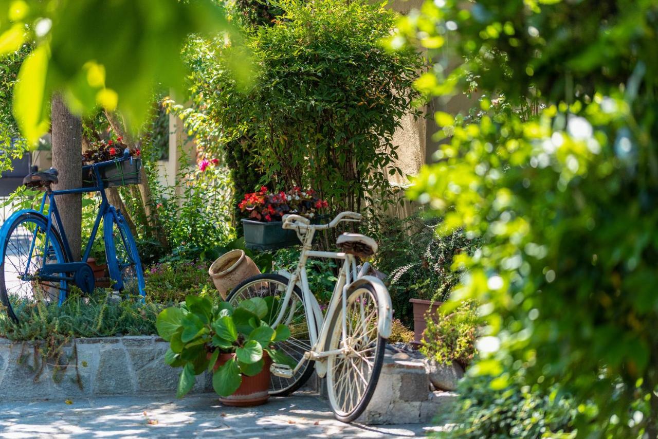 Villa Mery Casale Monferrato Zewnętrze zdjęcie